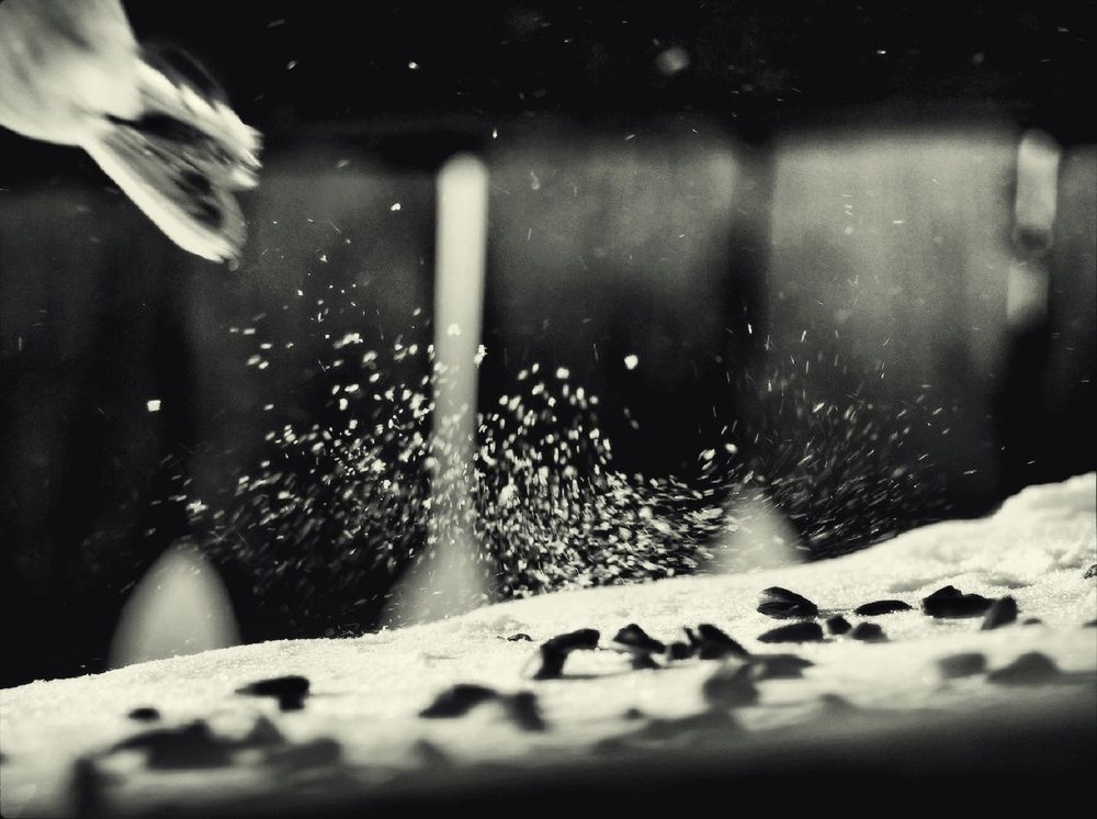 Photograph by Владимир