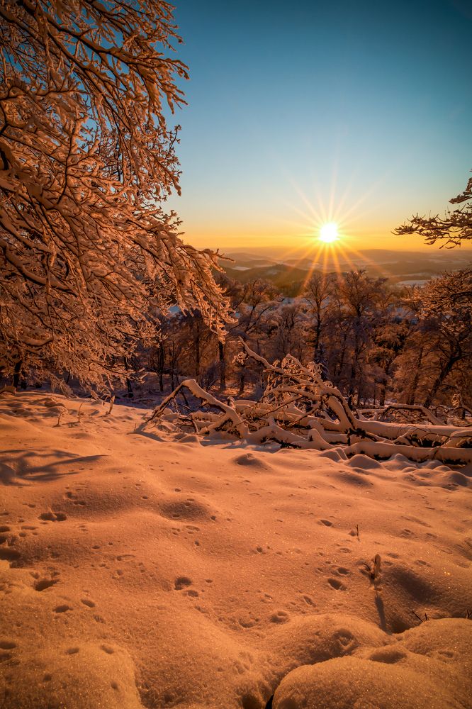 Photograph by Petr Musil