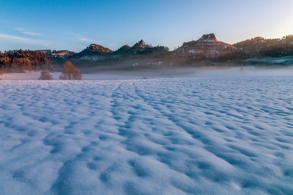 Photograph by Petr Musil