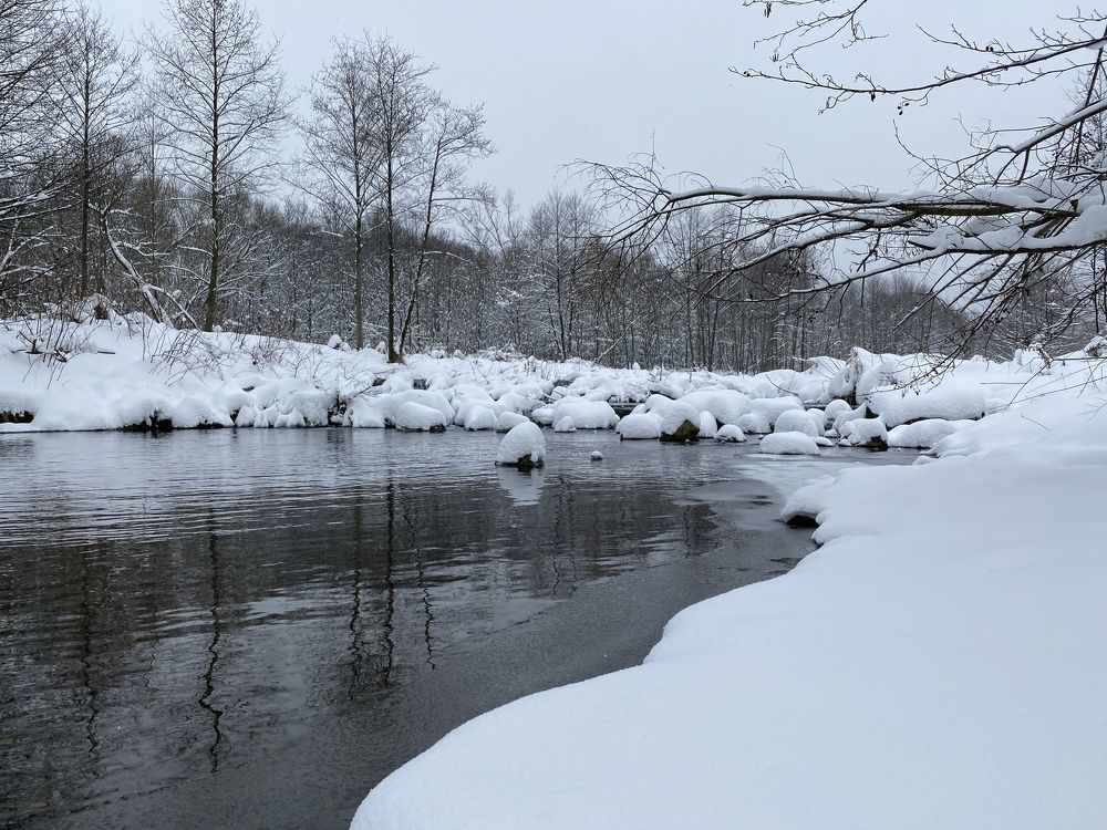 Photograph by Сидоренко Оксана