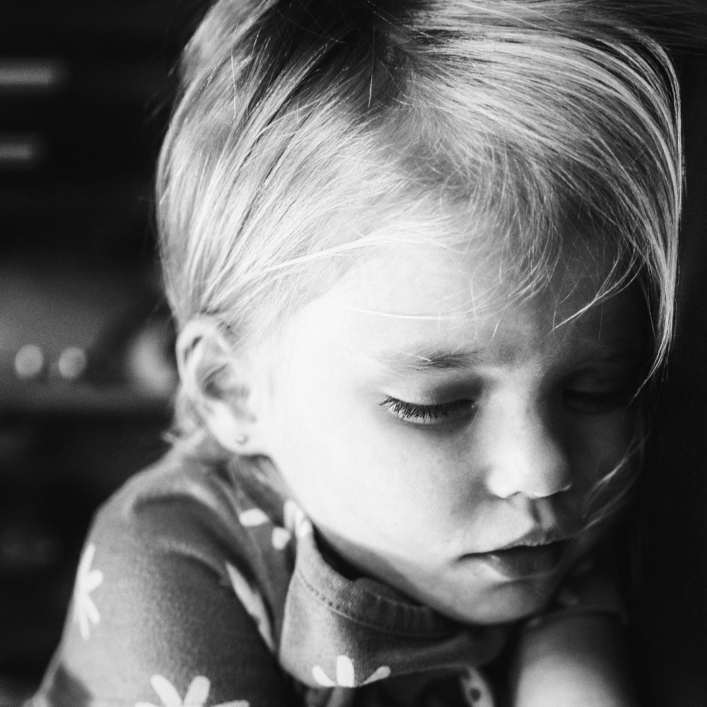 Photo #8518112