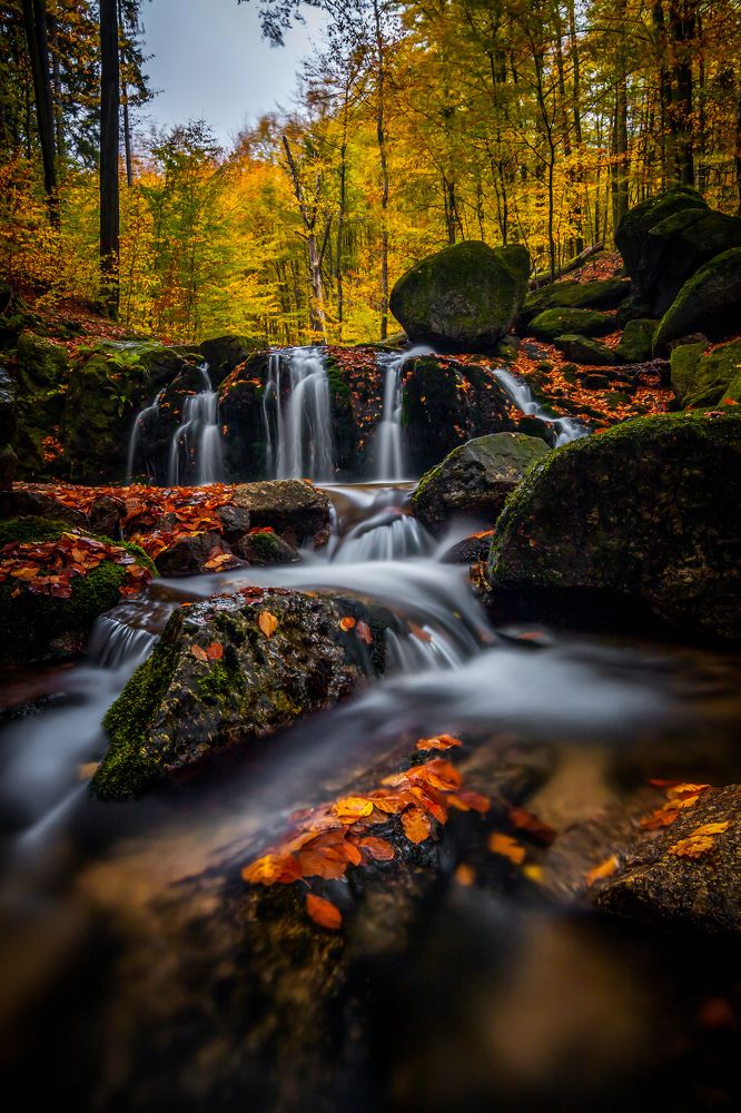 Photograph by Petr Musil