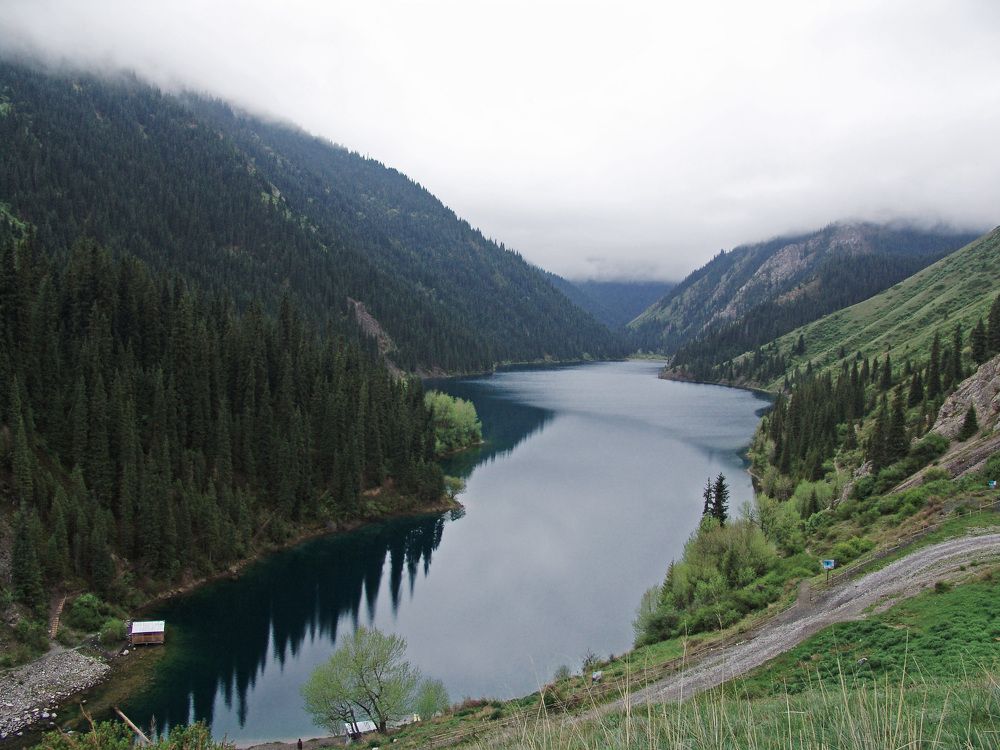 Photograph by Михаил Максимов