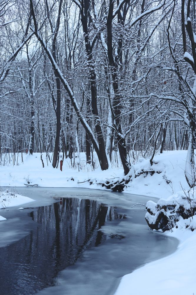 Photograph by Gabriela Ottova