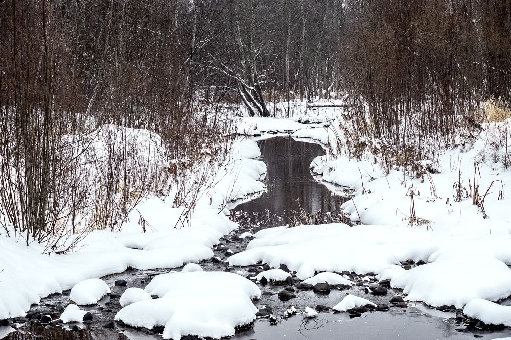 Photograph by Сергей Брызгалов