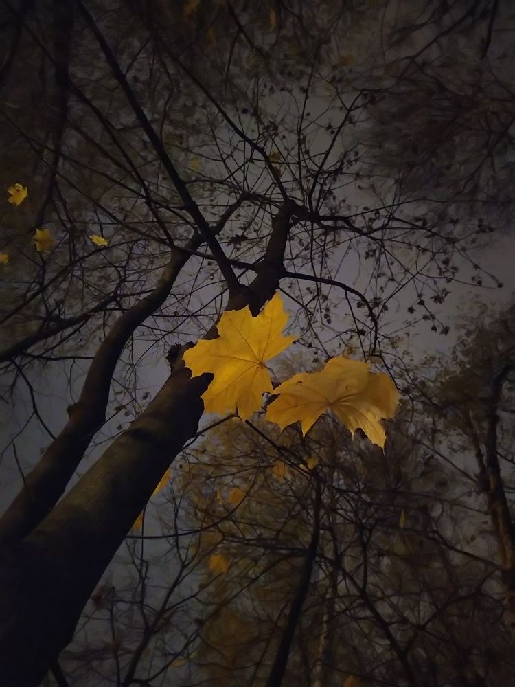 В ожидании...