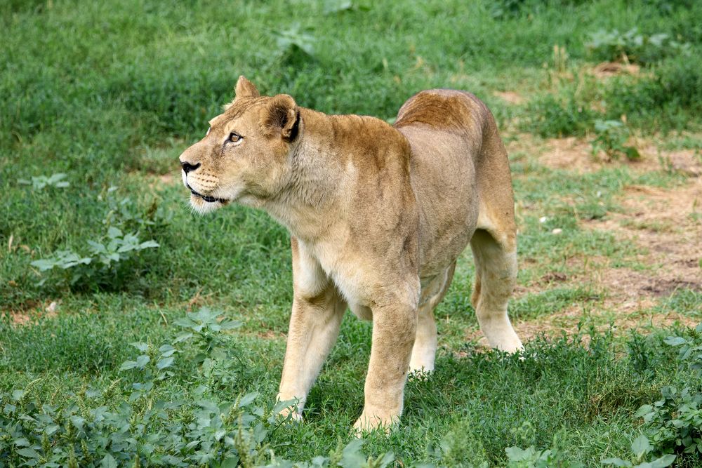 Фотография автора Владимир Глинский