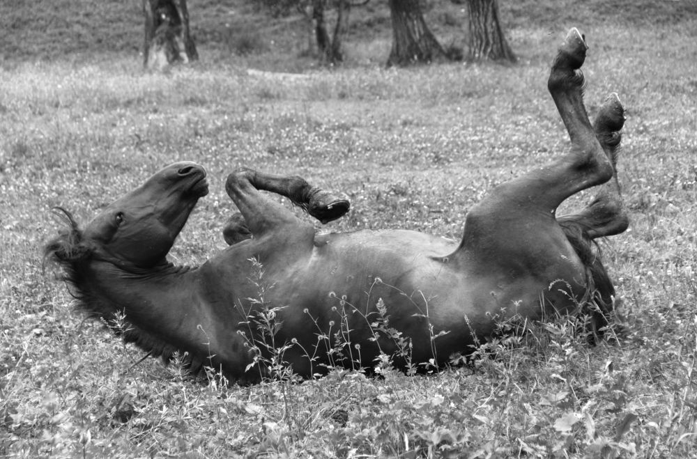 Фотография автора Кухта Мария