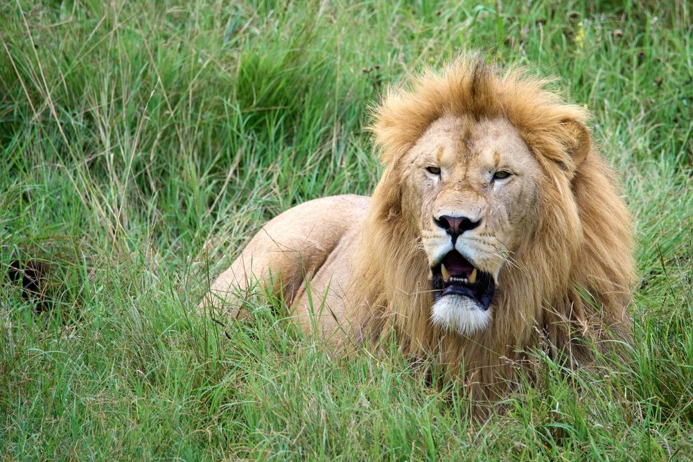 Фотография автора Владимир Глинский