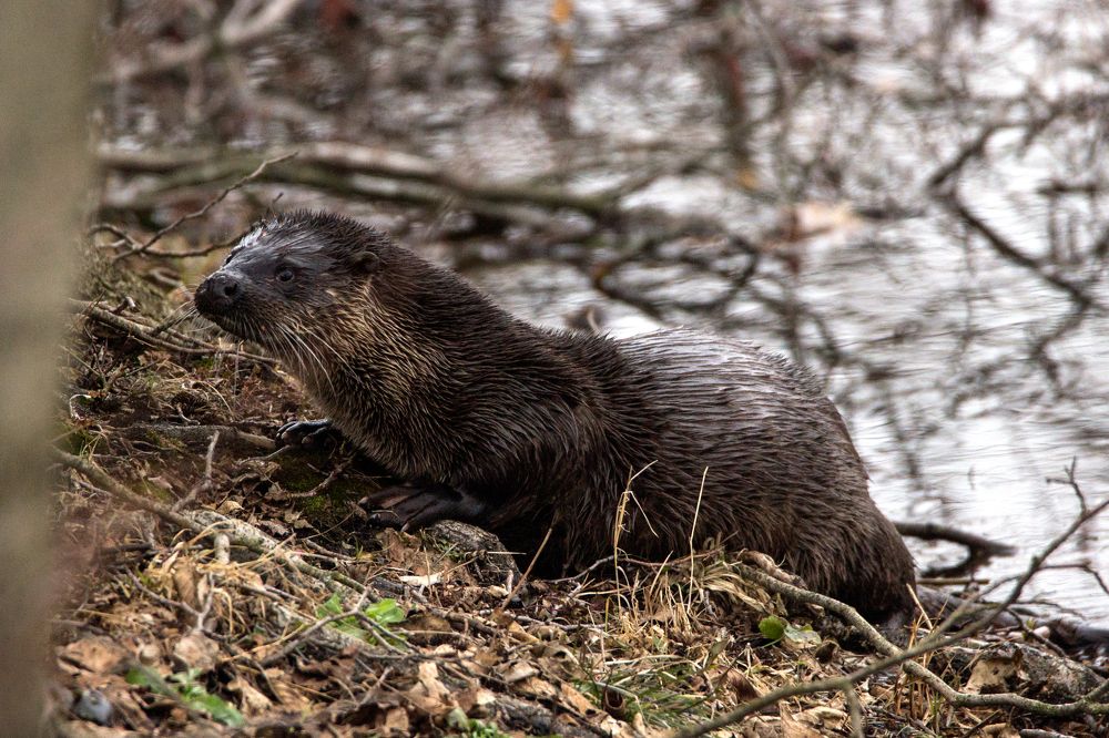 Photograph by Anna Suchcicka