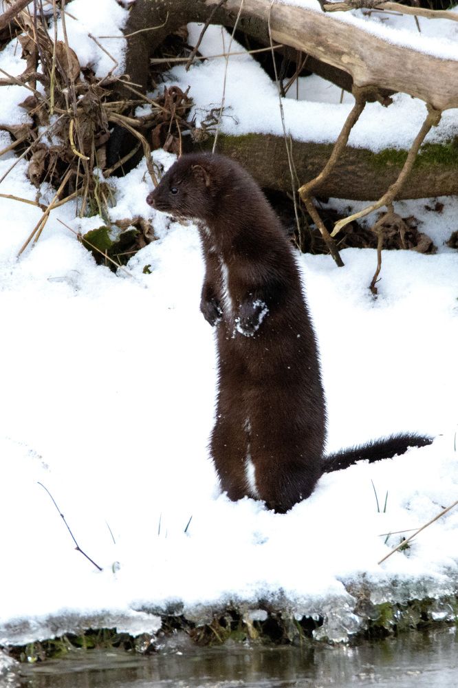 Photograph by Anna Suchcicka