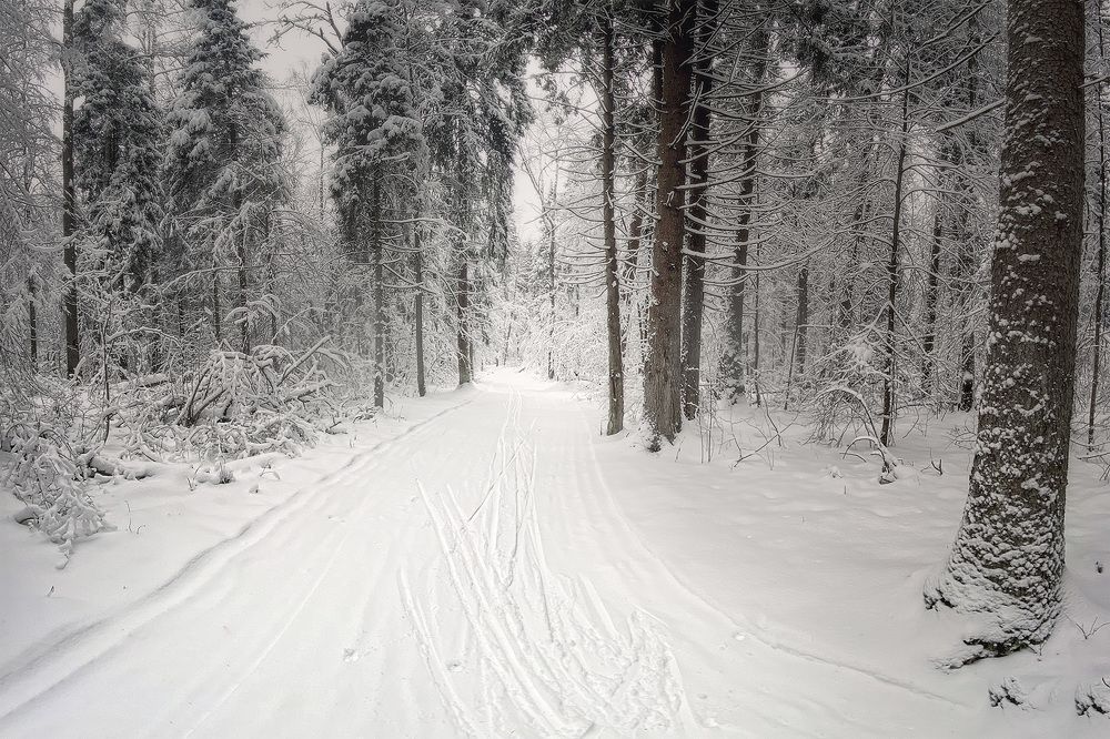 Photograph by  Михаил