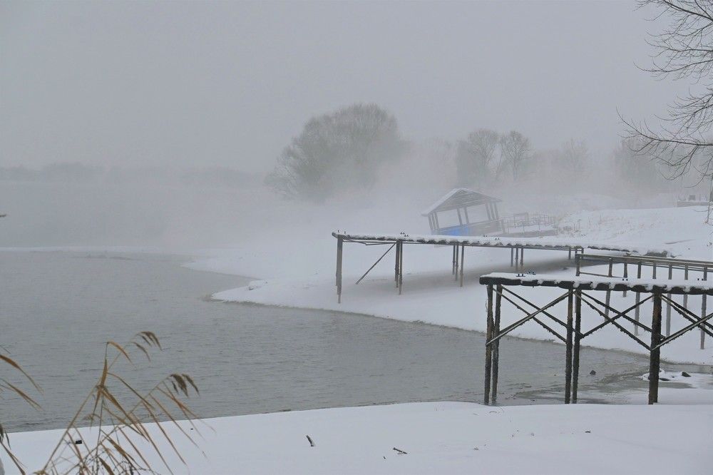Фотография автора IRINA FILIPPOVA