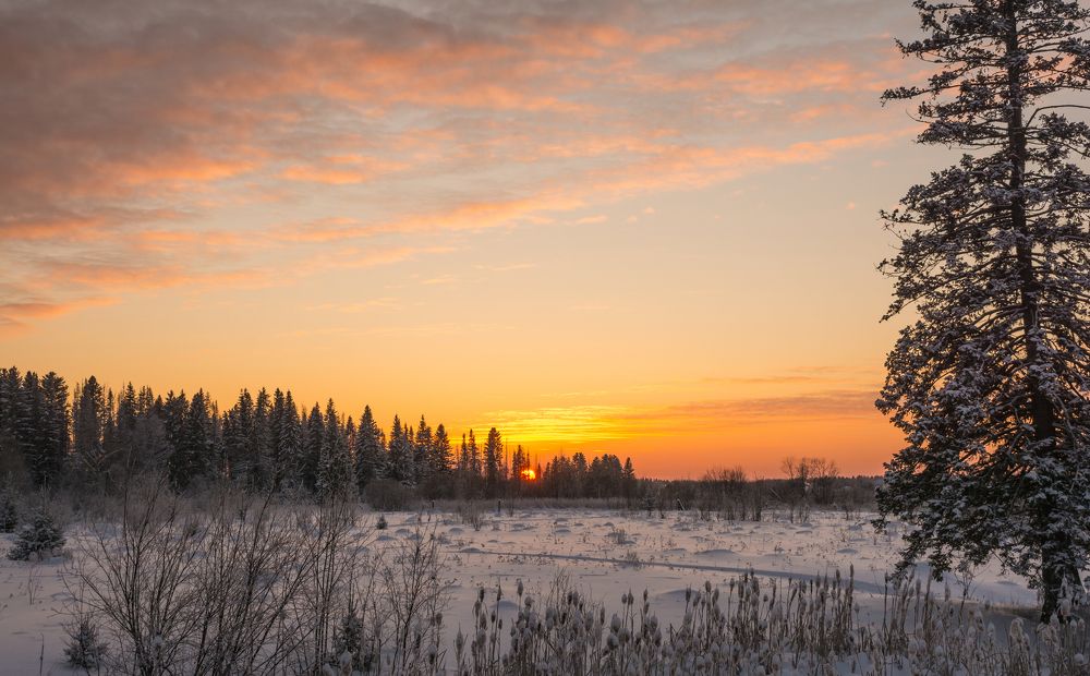 Закатилася зорька за лес.