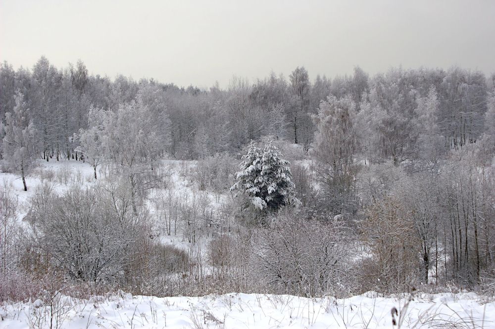 Photograph by Евгений Беленков