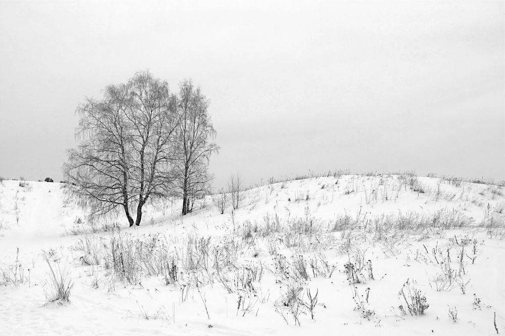 Photograph by Евгений Беленков