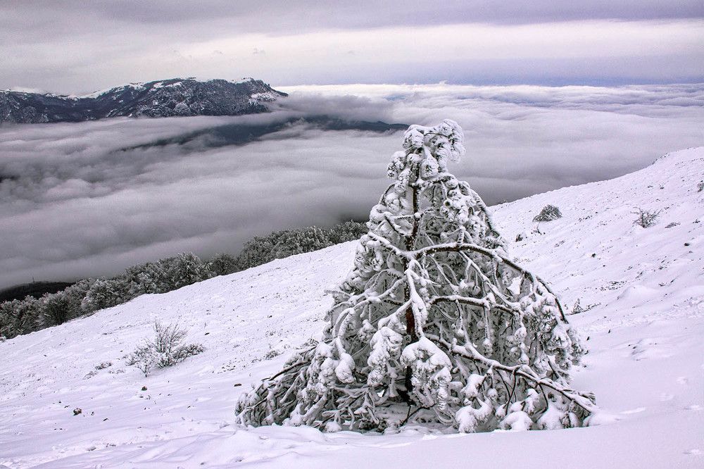 Photograph by Михаил Баевский