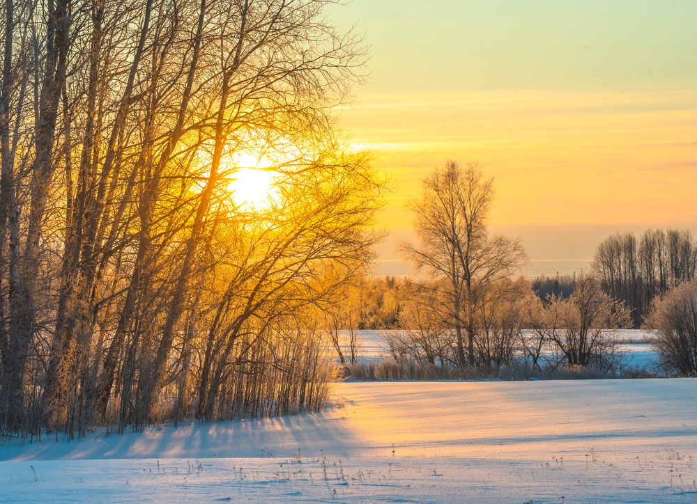 Photograph by Михаил Белоусов