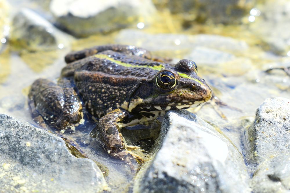 Photograph by Екатерина Скоропадова