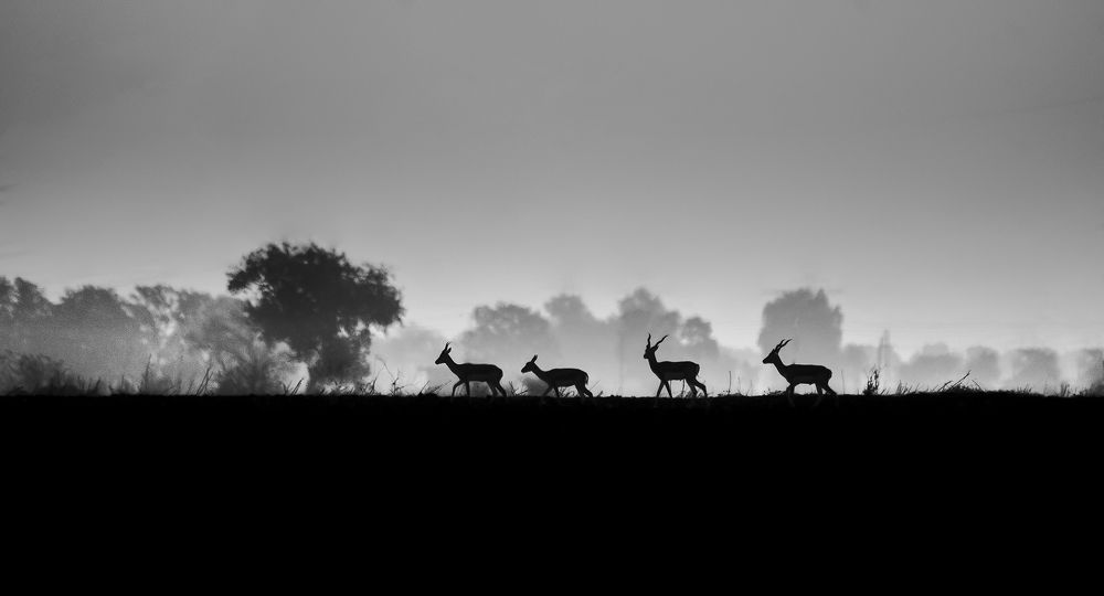 Photograph by Vinay Badhe