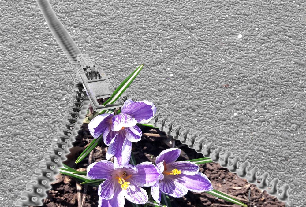 Photograph by Елена Алешкевич