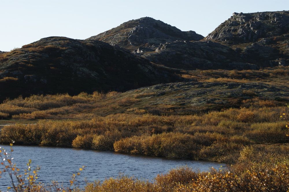 Photograph by Карина Заводчикова