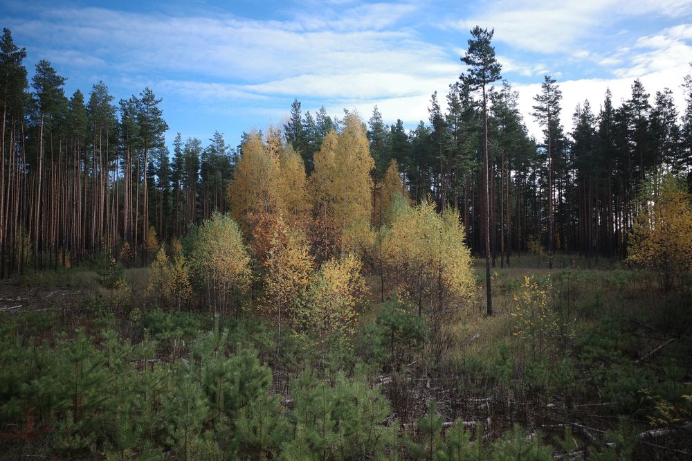 Photograph by Наталья Сафронова