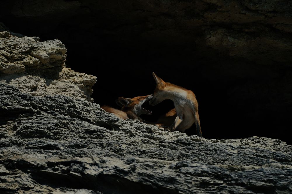 Photograph by Андрис Спиркович