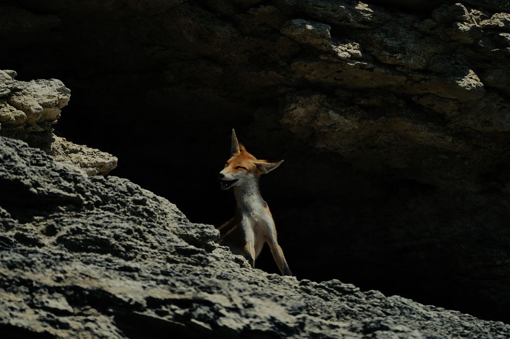 Photograph by Андрис Спиркович