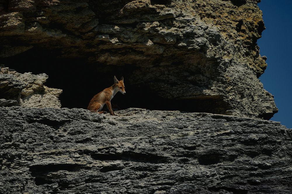 Photograph by Андрис Спиркович