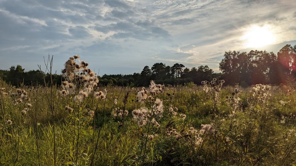 Photograph by Александр