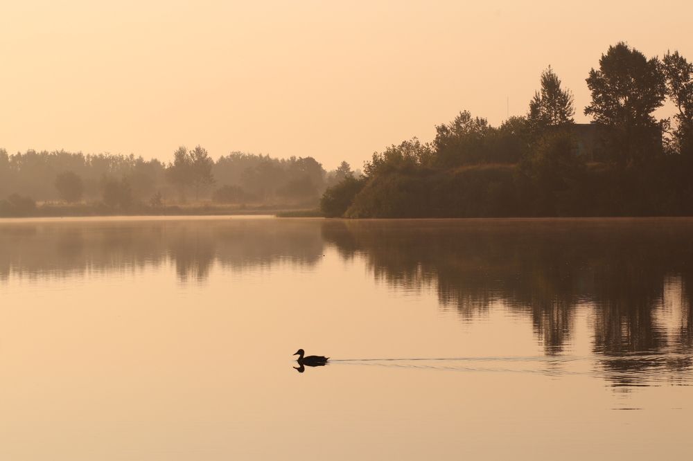 Photograph by Светлана Богомолова