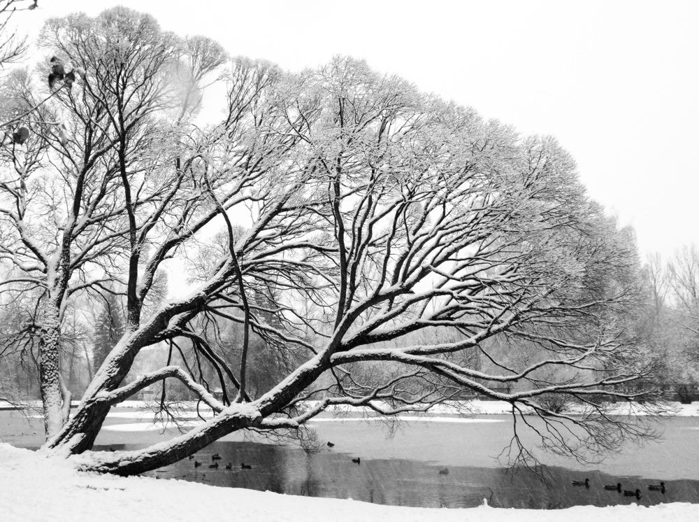 Photograph by Сергей Рябов