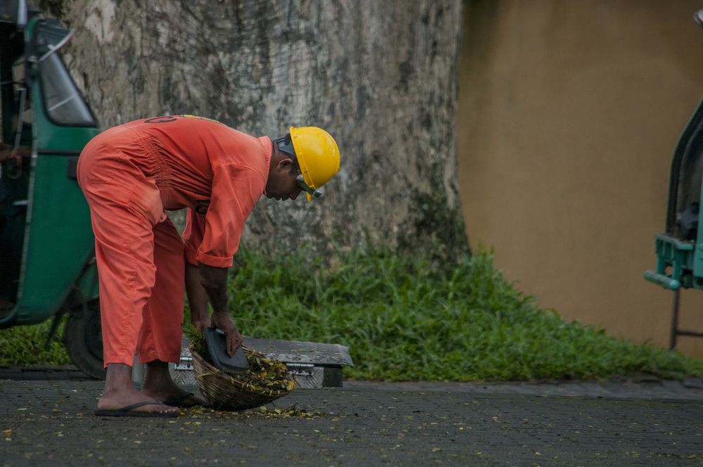 Photograph by Chamara Sulakkhana Polwatta Siriyalage