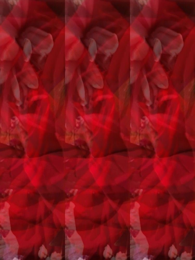 Photograph by Елена Мусина