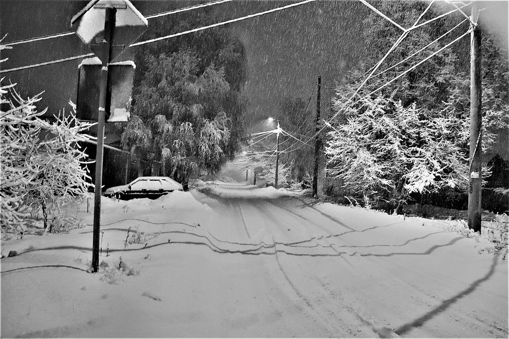 Photograph by Федоренко Элеонора