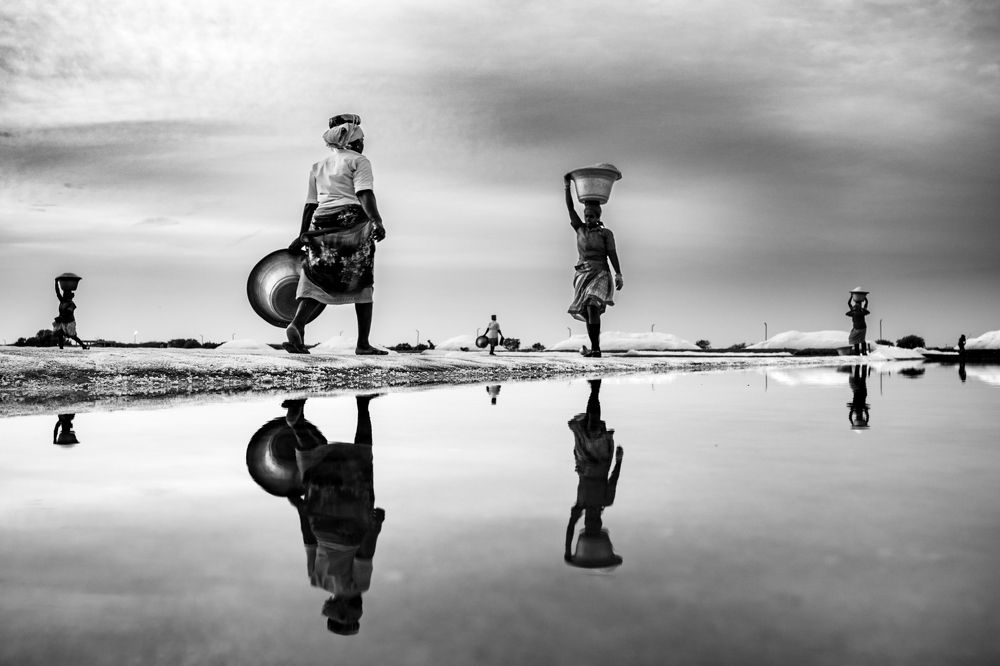 Photograph by Sai Prasath