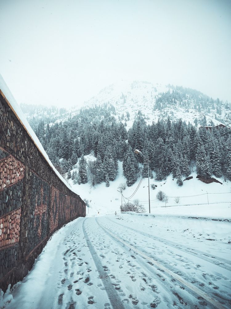 Photograph by Родионова Ксения