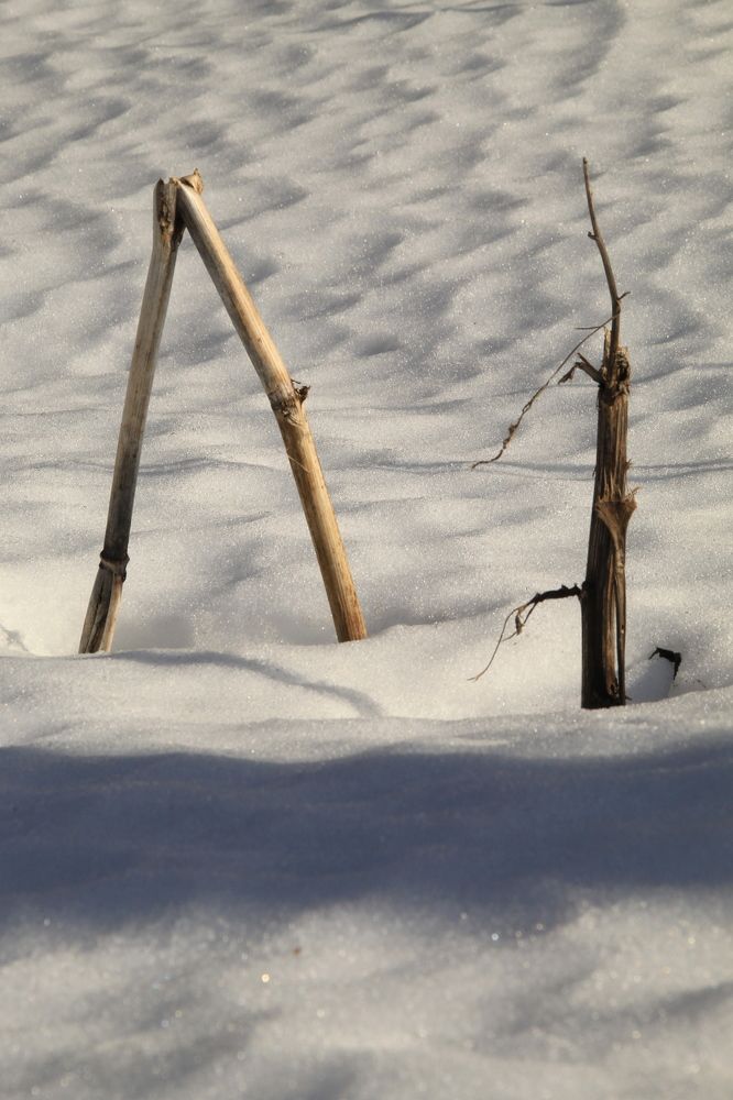 Photograph by Илья Беликов