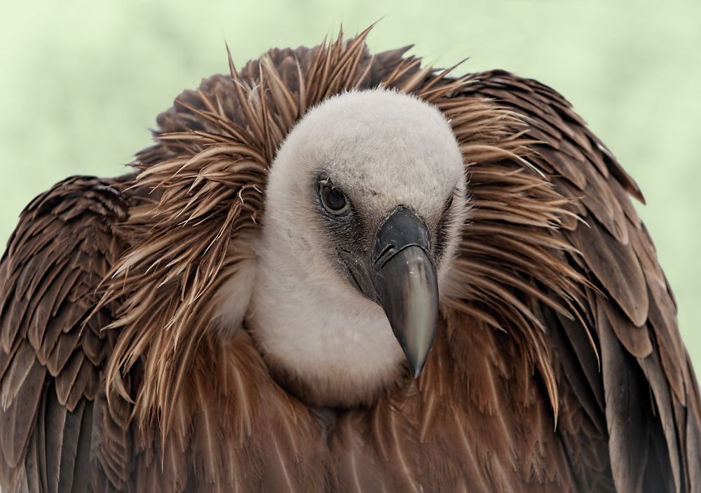 Photograph by Олег Тыркин