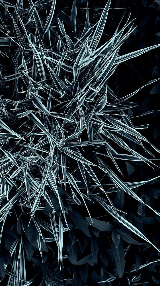 Photograph by Евгений Имамутдинов