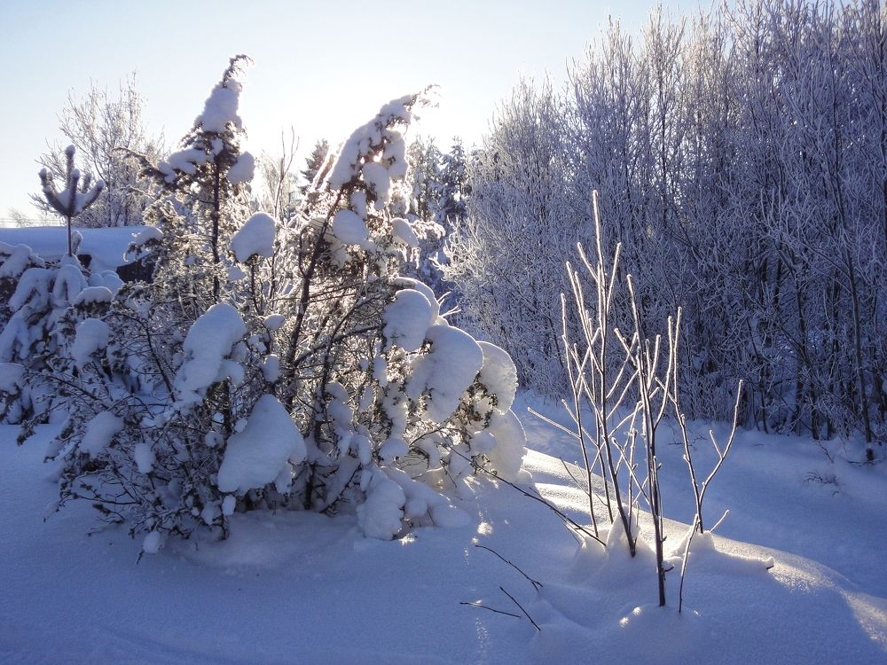 Photo #8518885