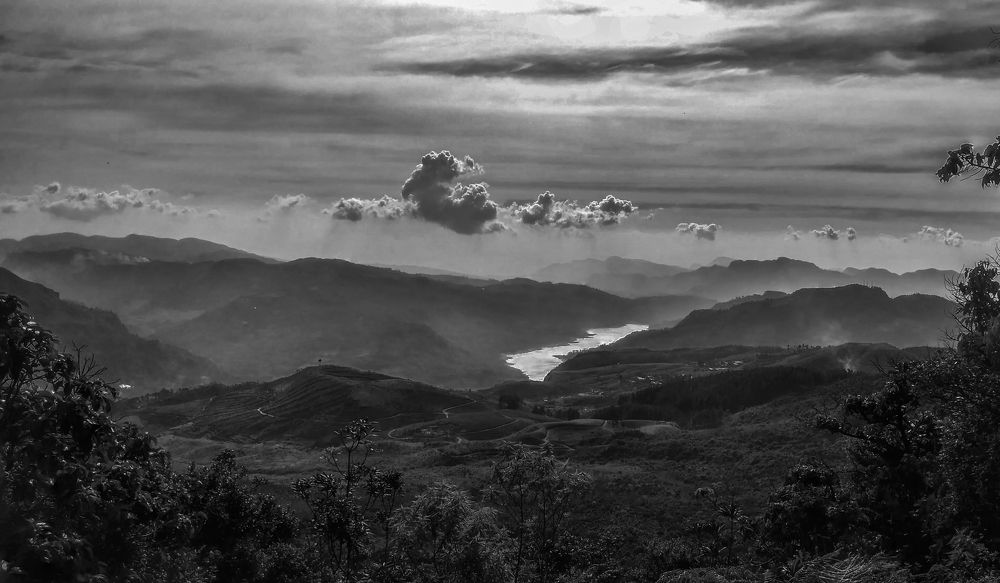 Photograph by Chamara Sulakkhana Polwatta Siriyalage