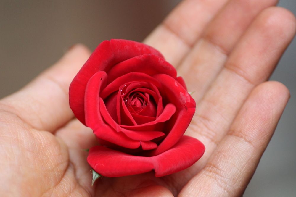 Photograph by Praveen kumar Sampath