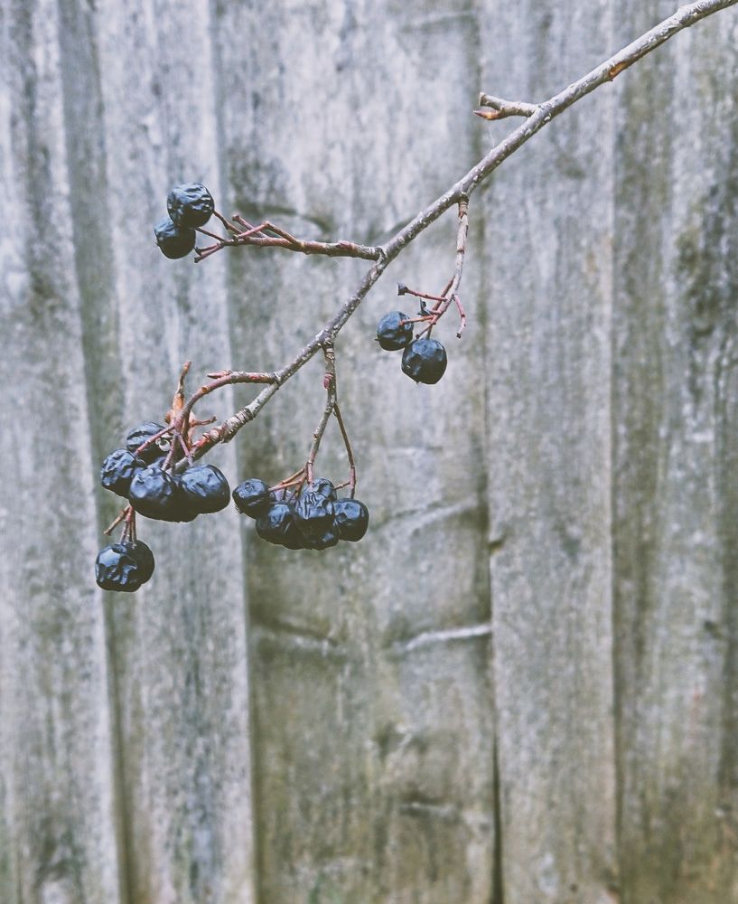 Фотография автора Екатерина