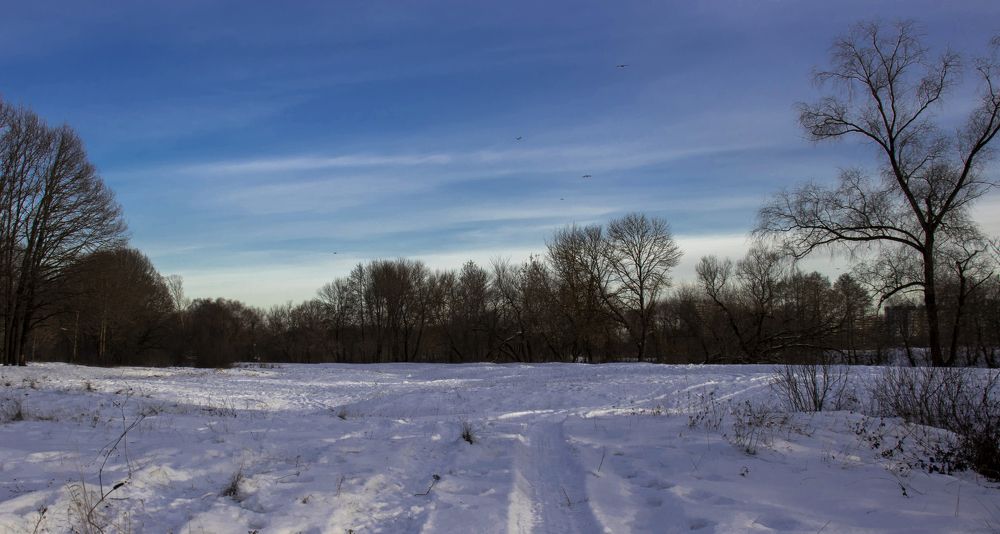 Photograph by Викулов Сергей