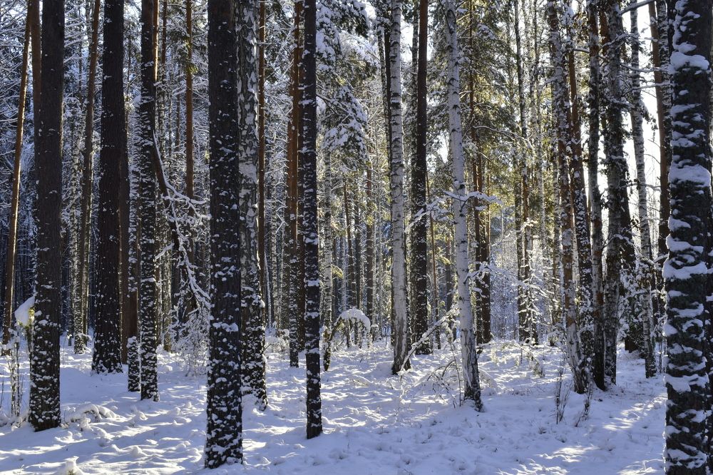 Photograph by Иван Суворов