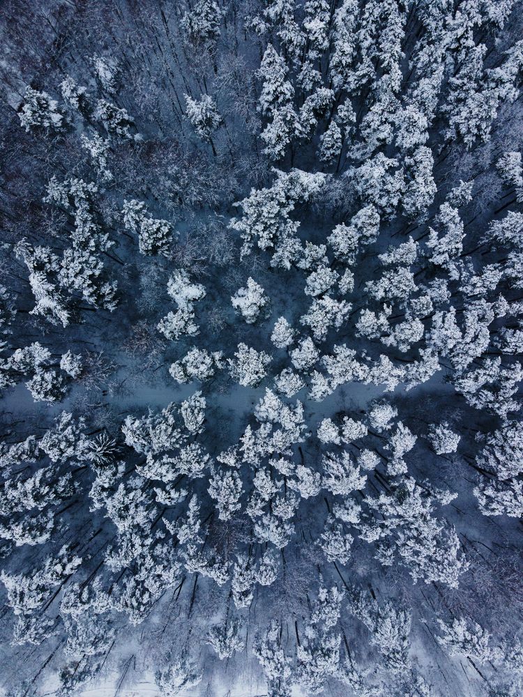 Photograph by Герман Матвеев