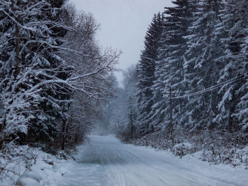 Photograph by Екатерина Слепнева