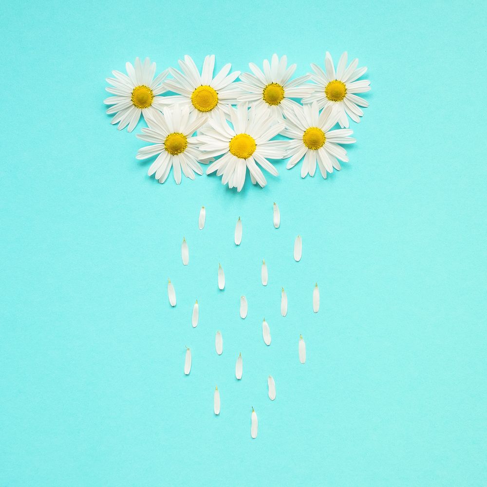 Фотография автора Елена Ельшина